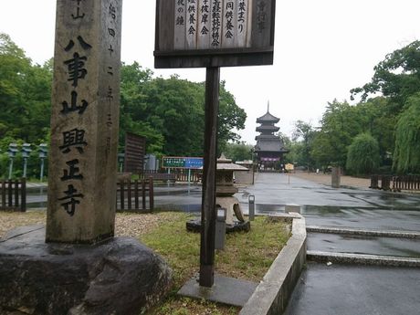 20170608_085757290.jpg